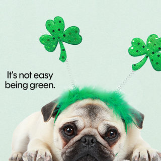 Happy Lucky St Patrick's Day 2023 wallpaper