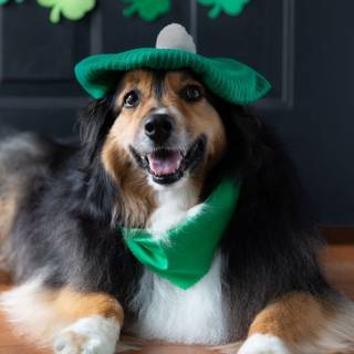 Happy Lucky St Patrick's Day 2023 wallpaper