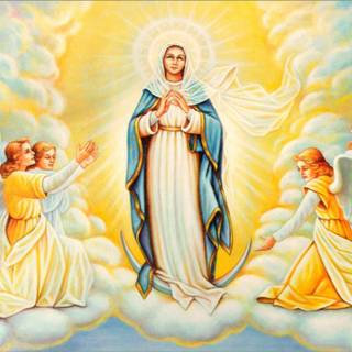 The Virgin Mary wallpaper