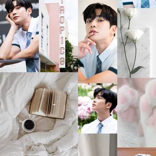 Rowoon aesthetic wallpaper