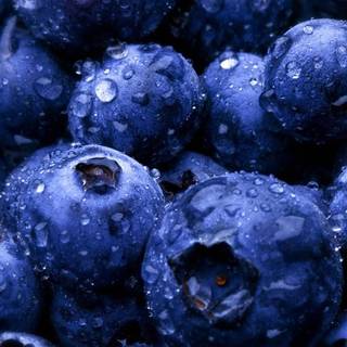 Forest fruit wallpaper