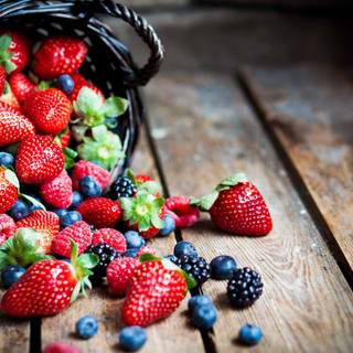 Forest fruit wallpaper