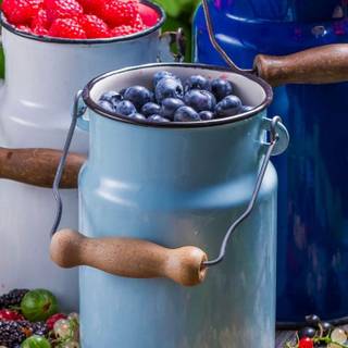 Forest fruit wallpaper