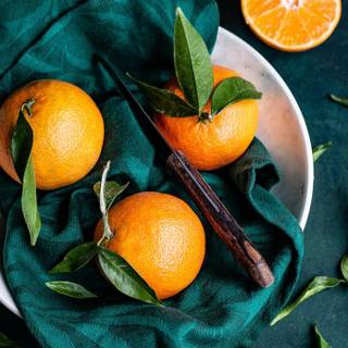 Forest fruit wallpaper