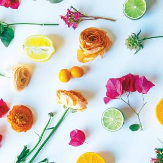 Minimal spring computer wallpaper