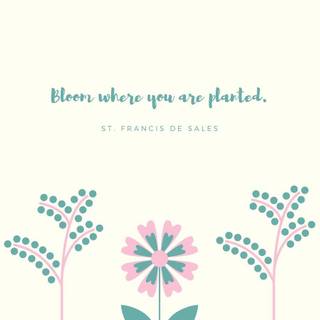 Minimal spring computer wallpaper