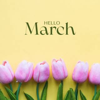 Minimal spring computer wallpaper