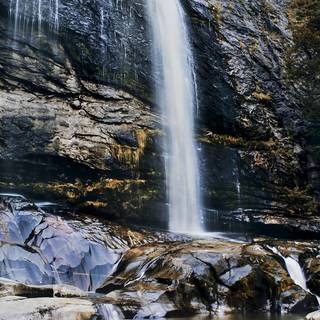 1080x2340 spring wallpaper