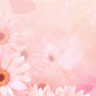 1080x2340 spring wallpaper