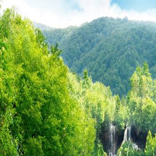 1080x2340 spring wallpaper