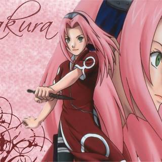 Sakura cute wallpaper