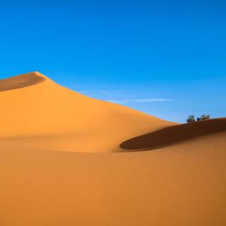4k desert wallpaper