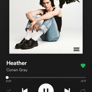 Spotify songs wallpaper