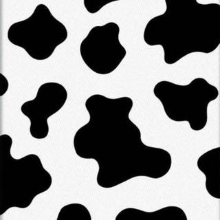Cow spots wallpaper