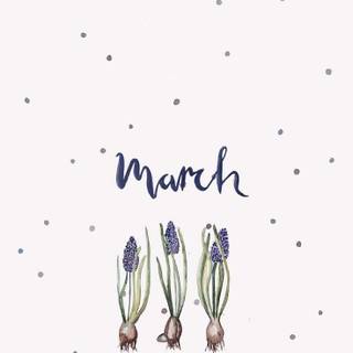 March aesthetic wallpaper