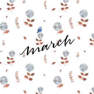 March aesthetic wallpaper