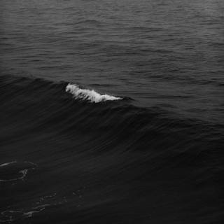 Black and white ocean wallpaper