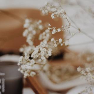 Pastel brown and white springtime wallpaper