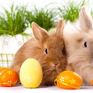 Cozy Easter wallpaper