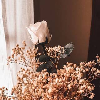 Pastel brown and white springtime wallpaper