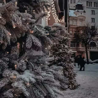 Aesthetic winter vibe wallpaper