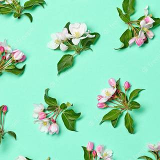 Mint spring wallpaper
