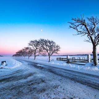 Country winter art wallpaper