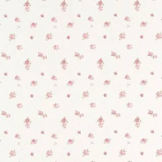 Coquette flowers wallpaper