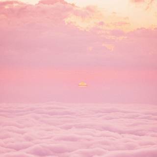 Light pink laptop wallpaper