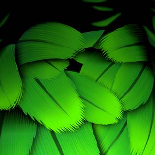 Microsoft phone wallpaper