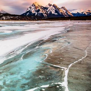 Microsoft phone wallpaper