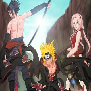 Sakura Haruno phone wallpaper