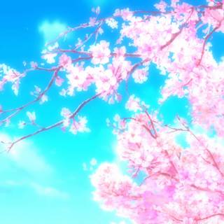 Anime Sakura Tree wallpaper