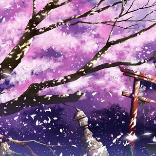 Anime Sakura Tree wallpaper