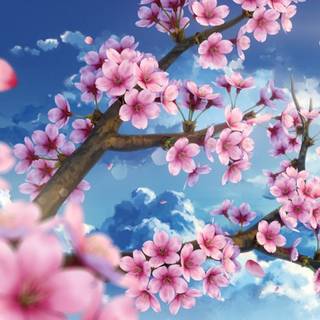 Anime Sakura Tree wallpaper