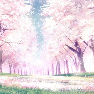 Anime Sakura Tree wallpaper