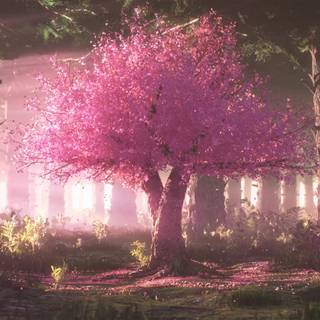 Anime Sakura Tree wallpaper