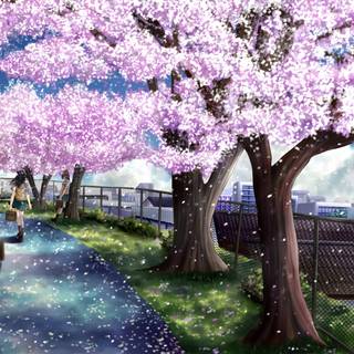 Anime Sakura Tree wallpaper