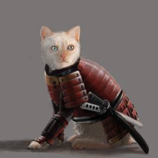 Cat samurai wallpaper