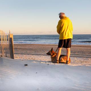 Dogs at the beach wallpaper