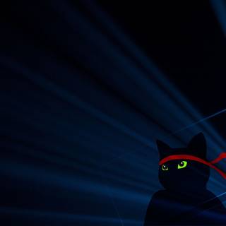 Cat samurai wallpaper