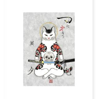 Cat samurai wallpaper
