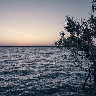 Tranquil morning wallpaper