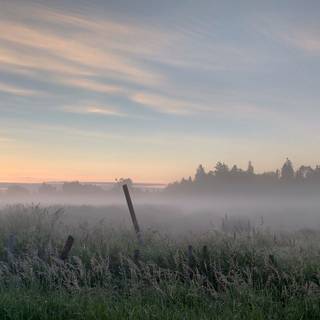 Tranquil morning wallpaper