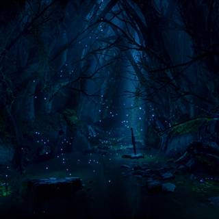 Dark fantasy forest wallpaper