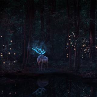 Dark fantasy forest wallpaper