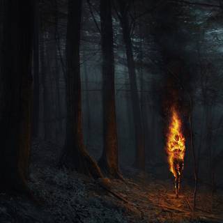 Dark fantasy forest wallpaper