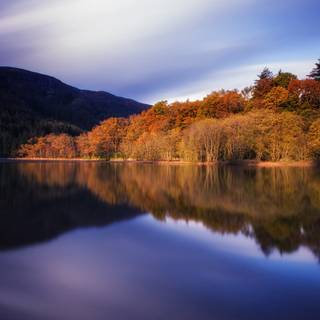 Tranquil morning wallpaper