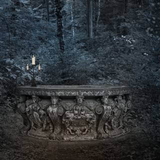 Dark fantasy forest wallpaper