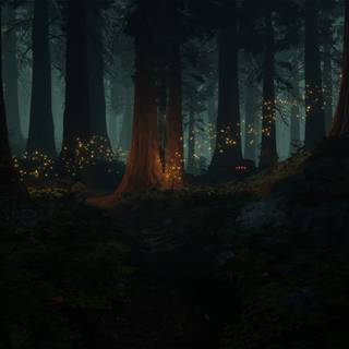 Dark fantasy forest wallpaper